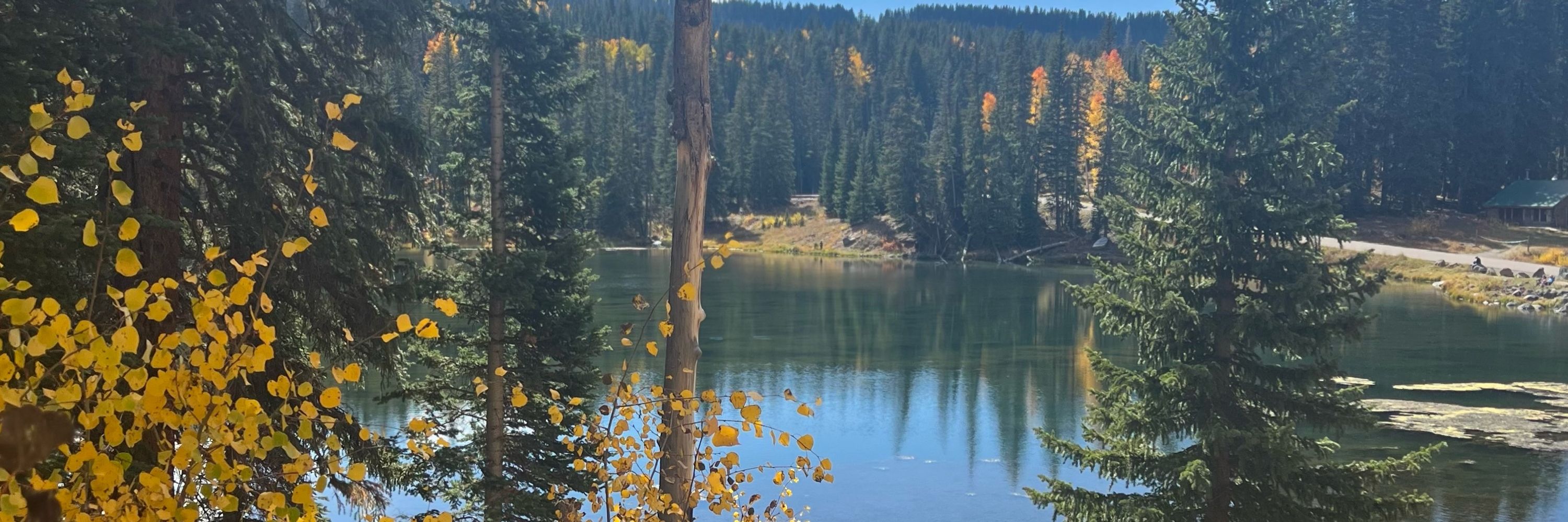 Colorado Beverly