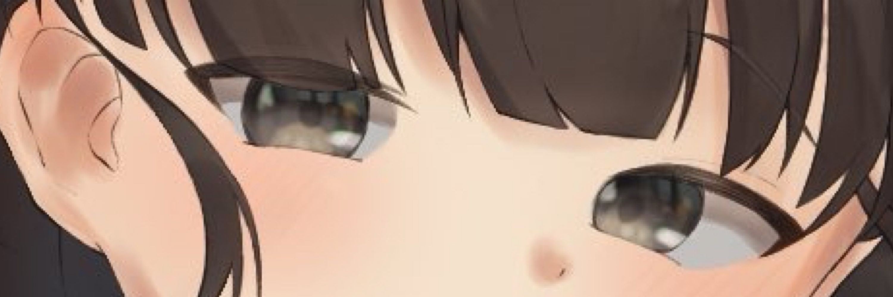 ねこぱた