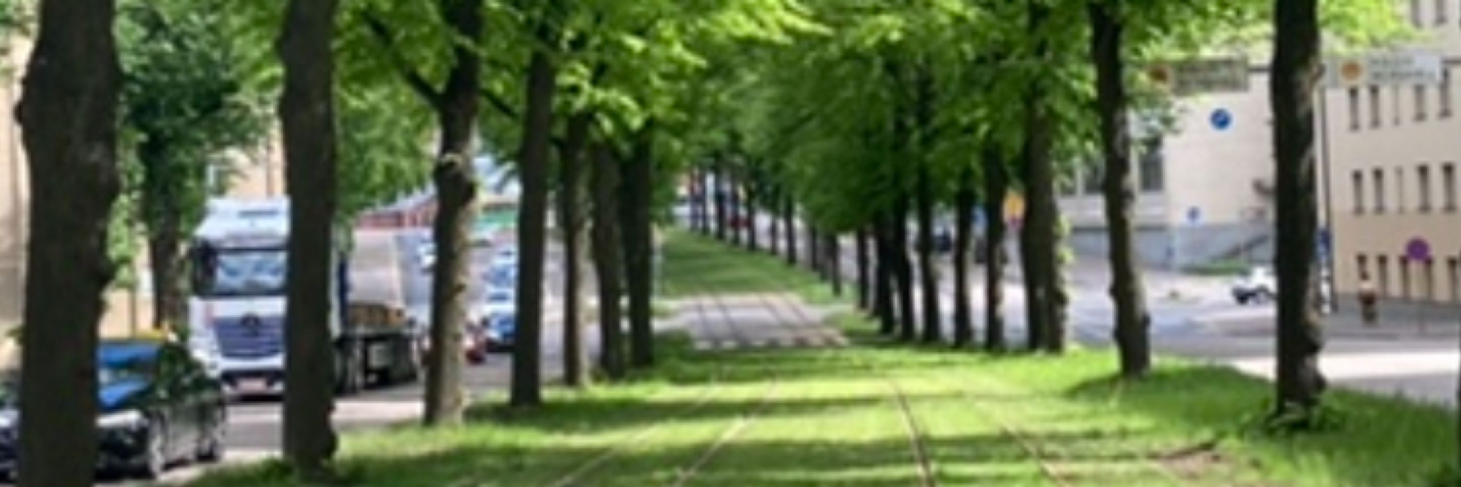 Terhi Upola