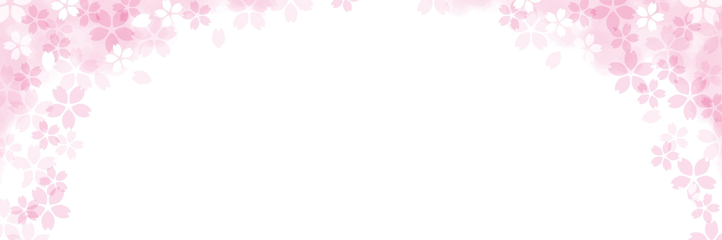さくら🌸
