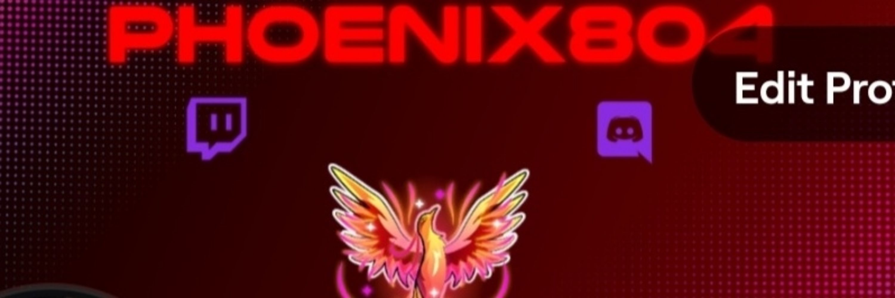 Phoenix804
