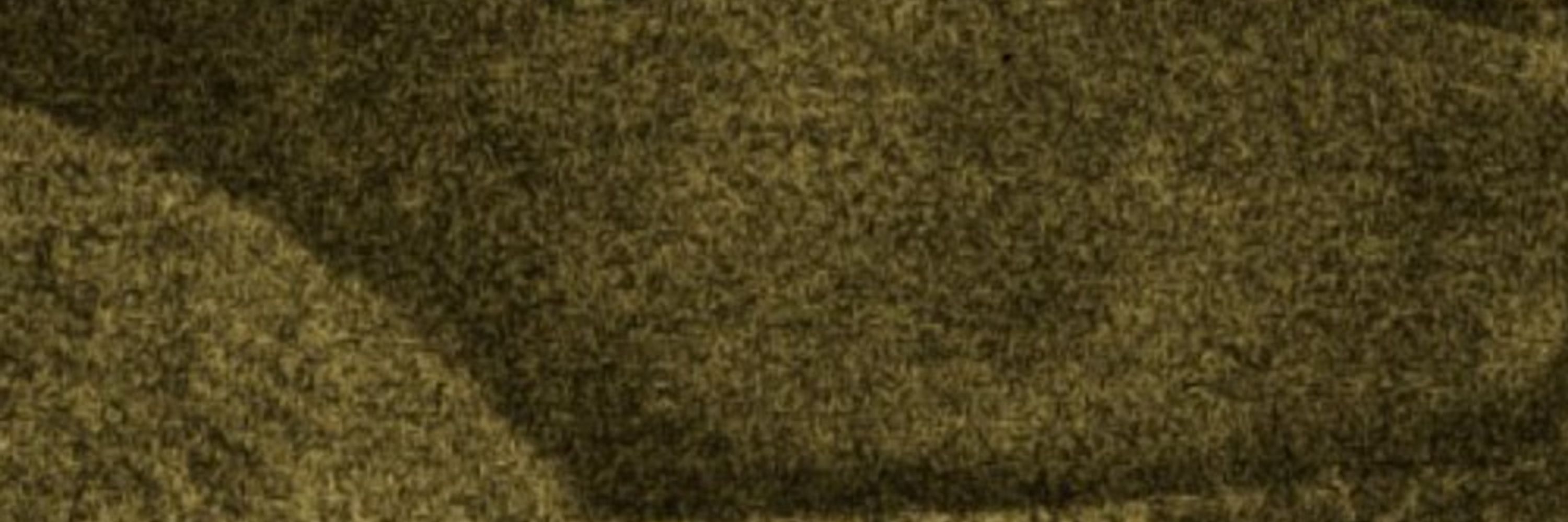 Ratachillona