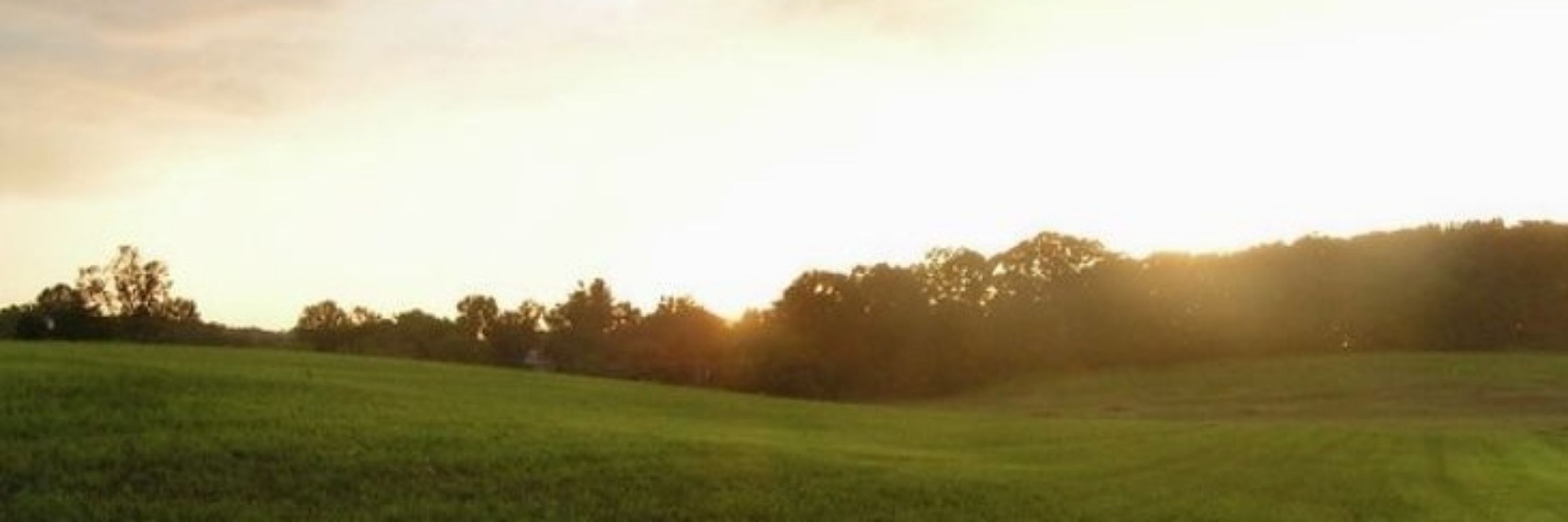 Vschatten