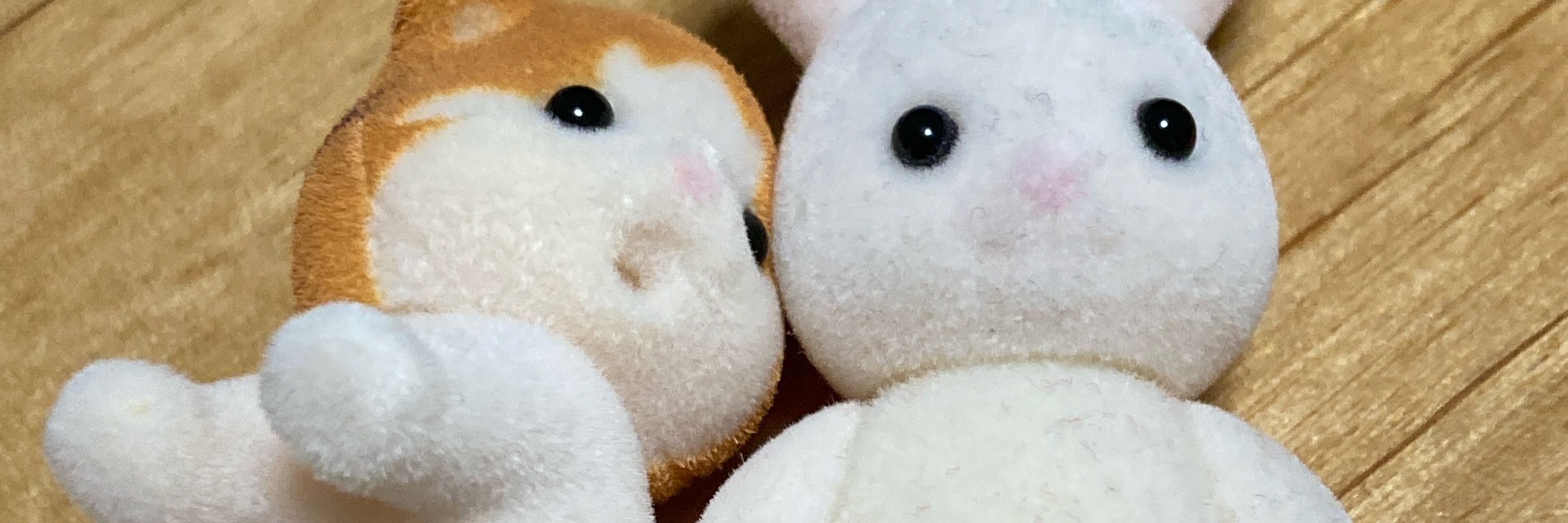おすみ