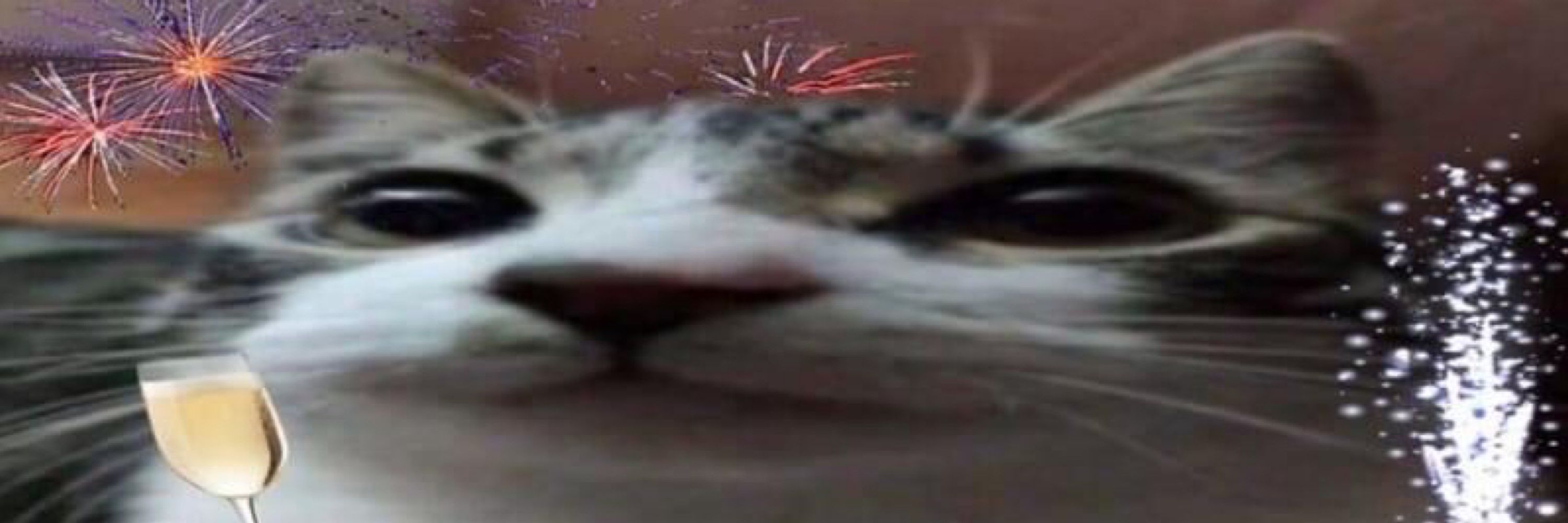 dsapog