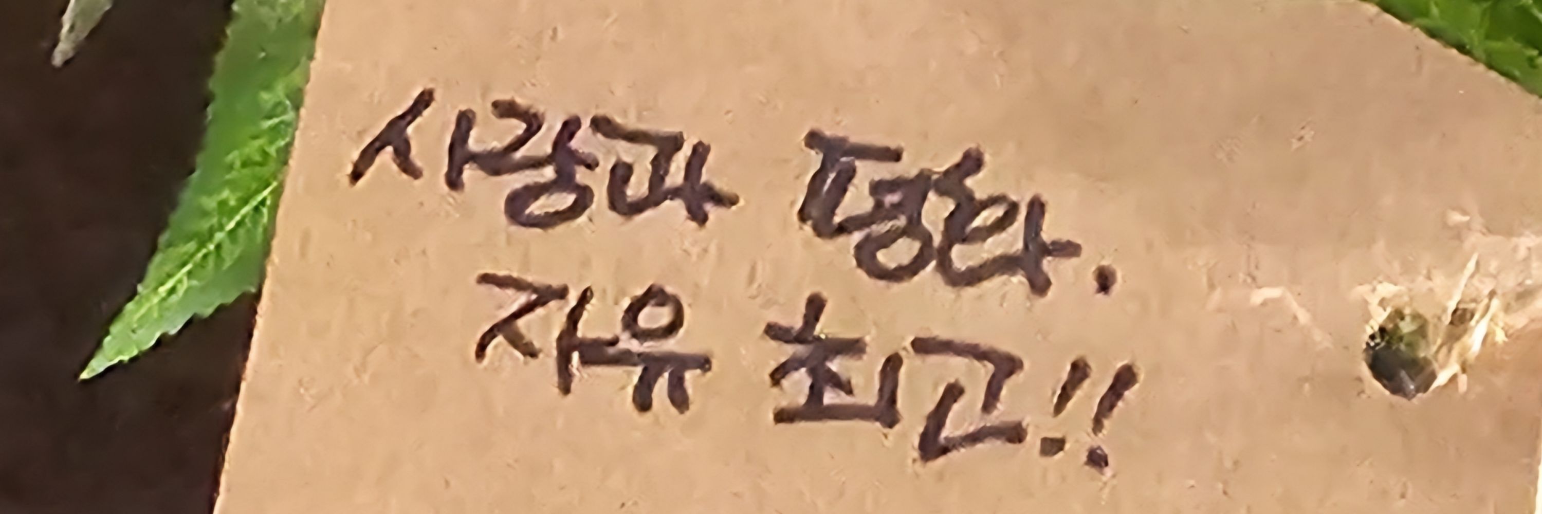 토끼조아하는사람