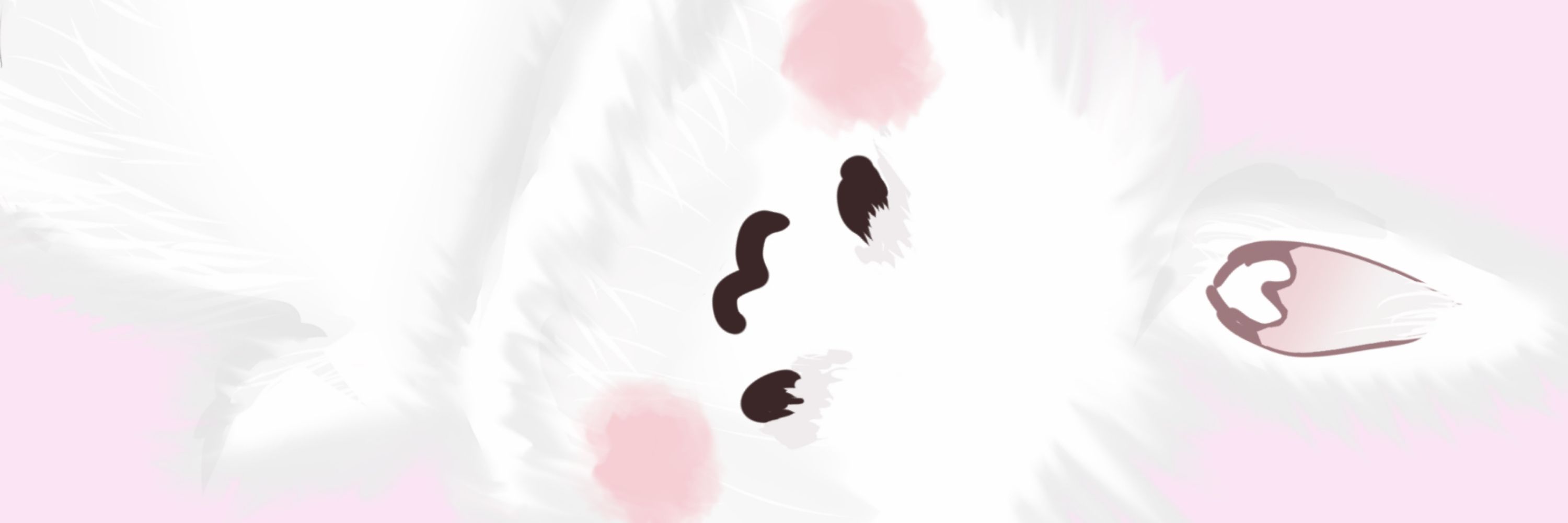 セタキレハ（偽物）