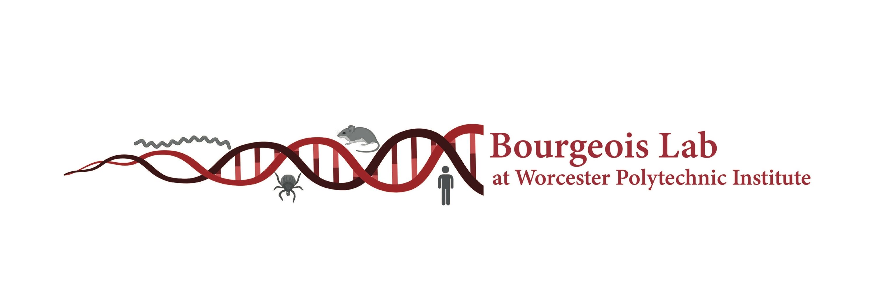 Jeff Bourgeois, PhD