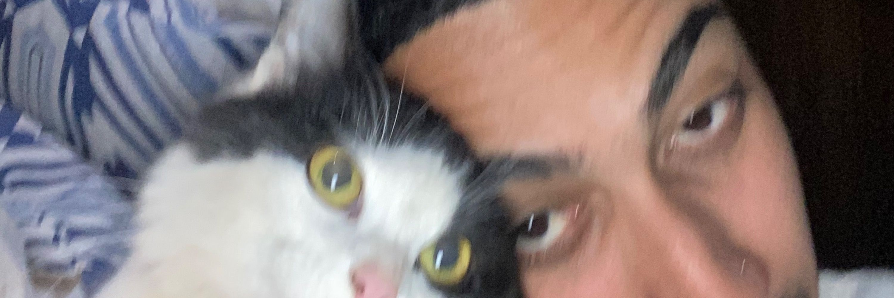 Dudu