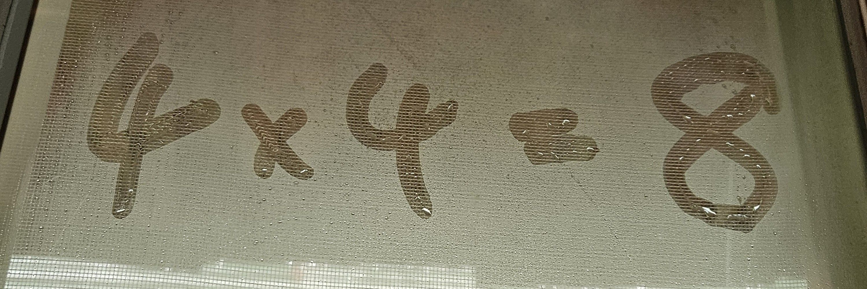 渣渣汁橙柳