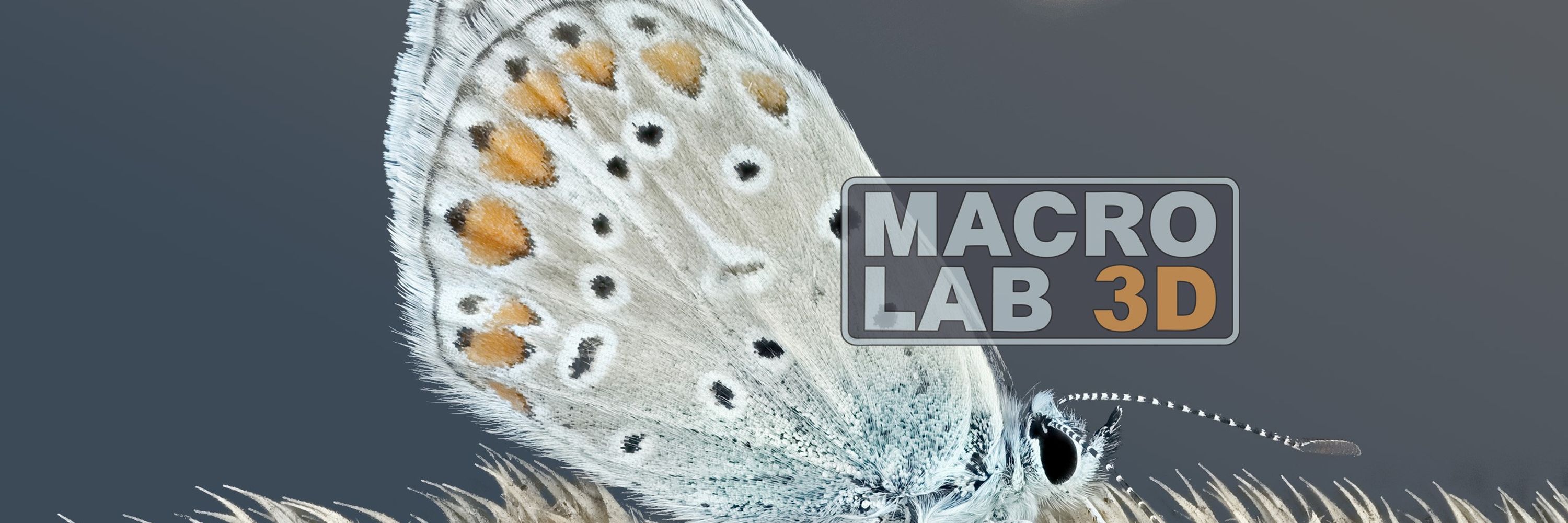 MacroLab3D