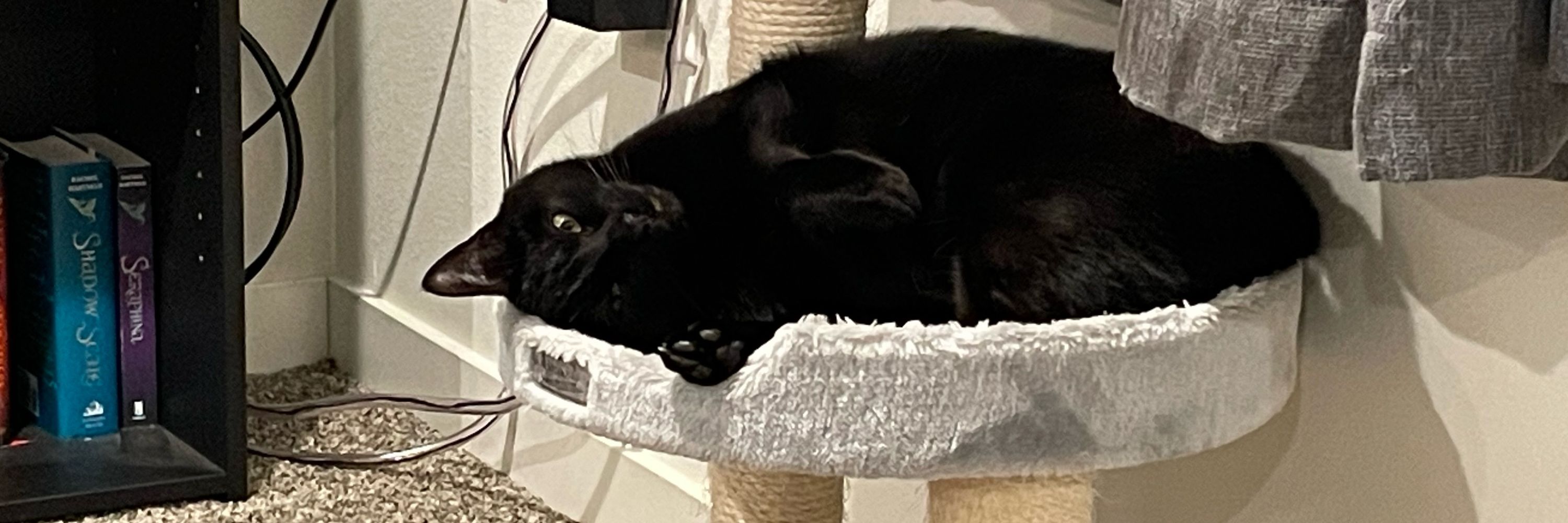 Minnie