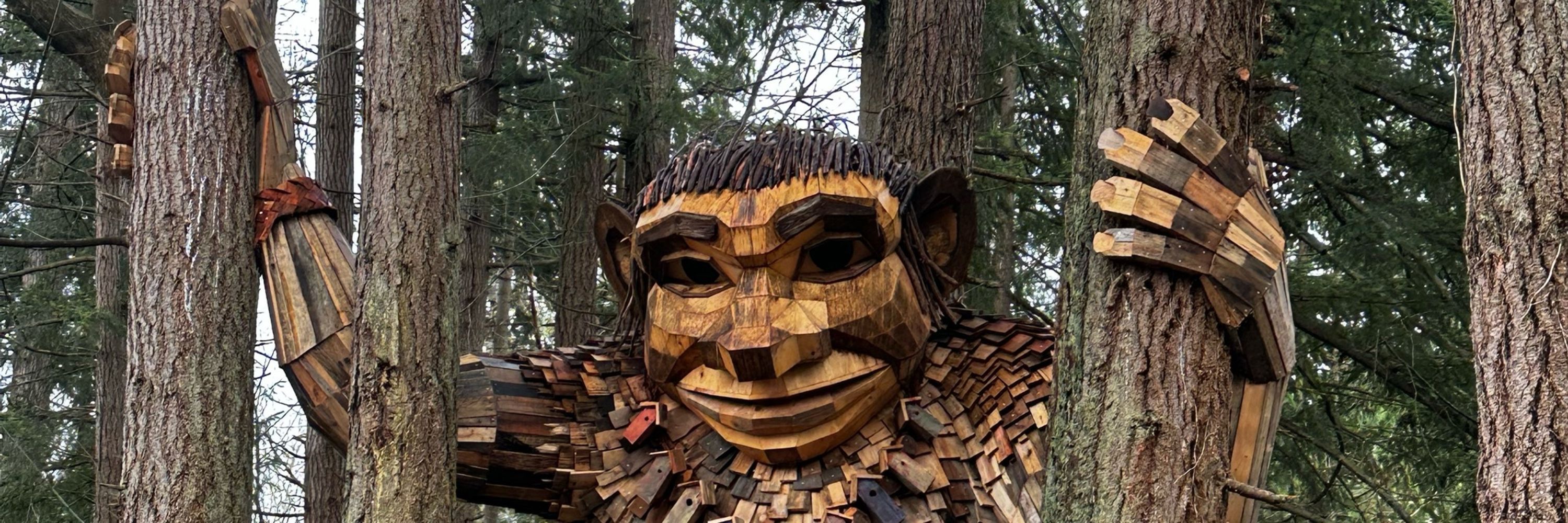 Tim RN PNW
