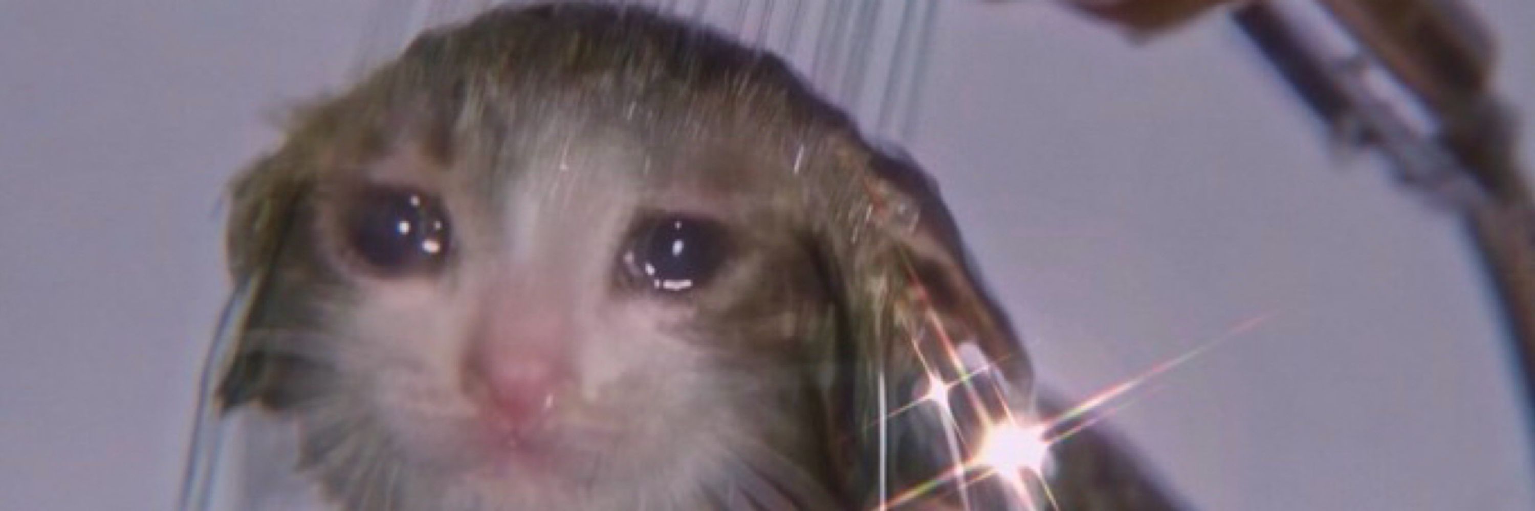 missing dnp