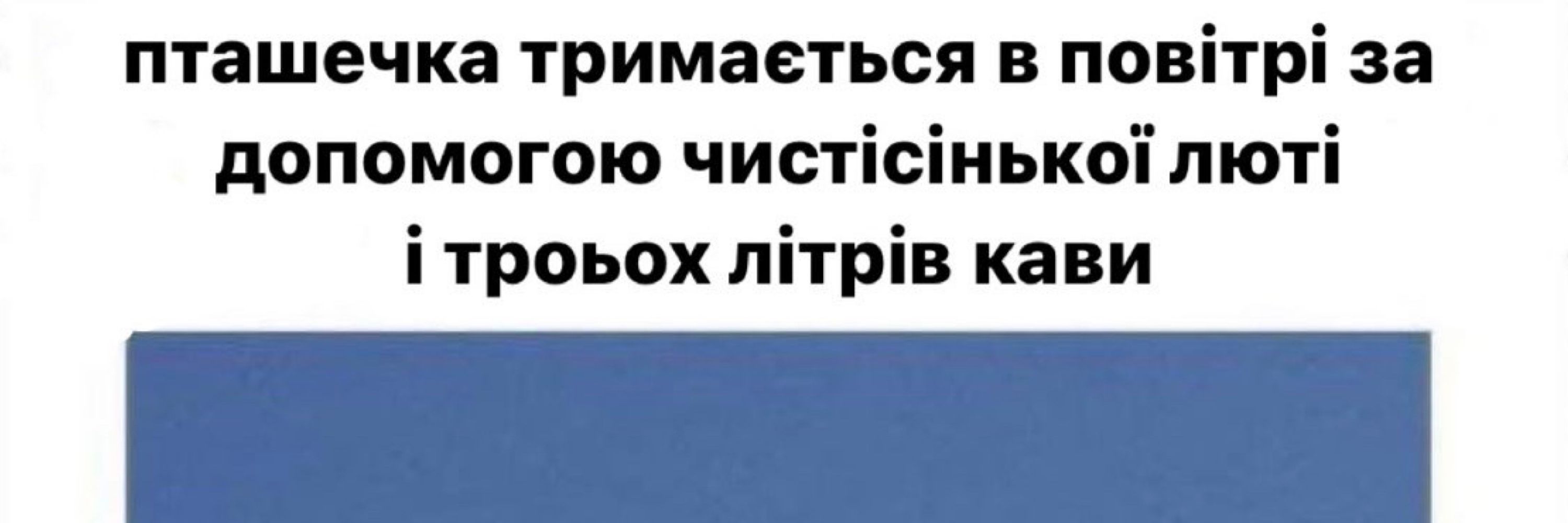 Папуг хвилюється💙💛