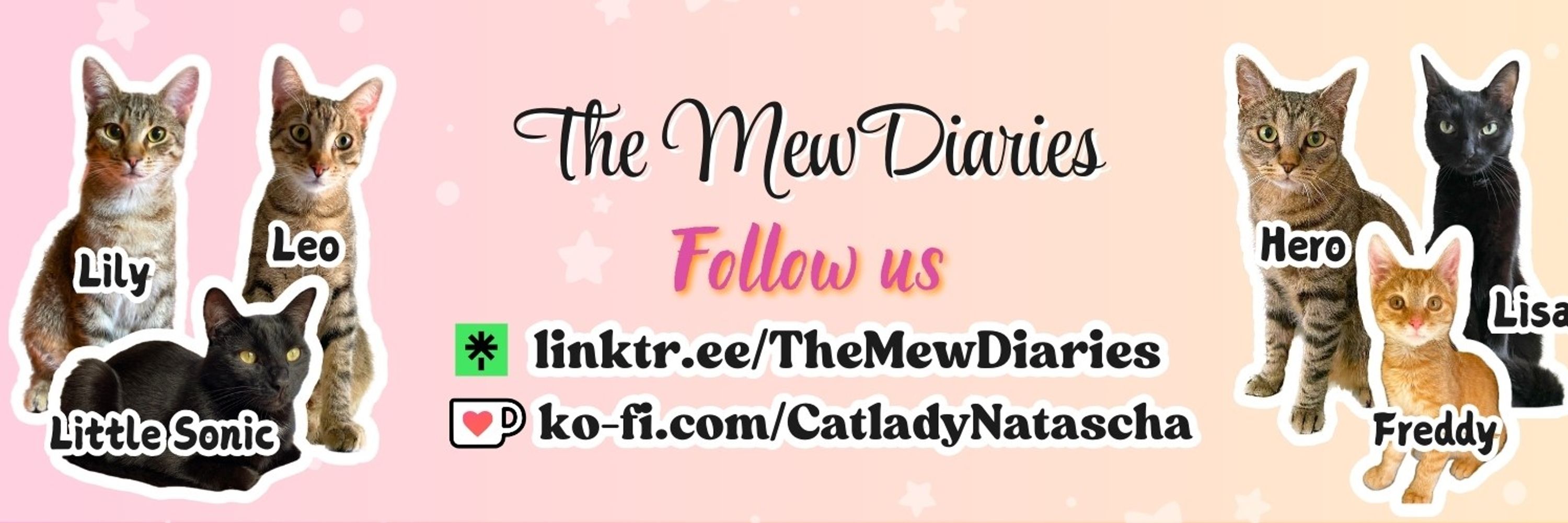 The MewDiaries