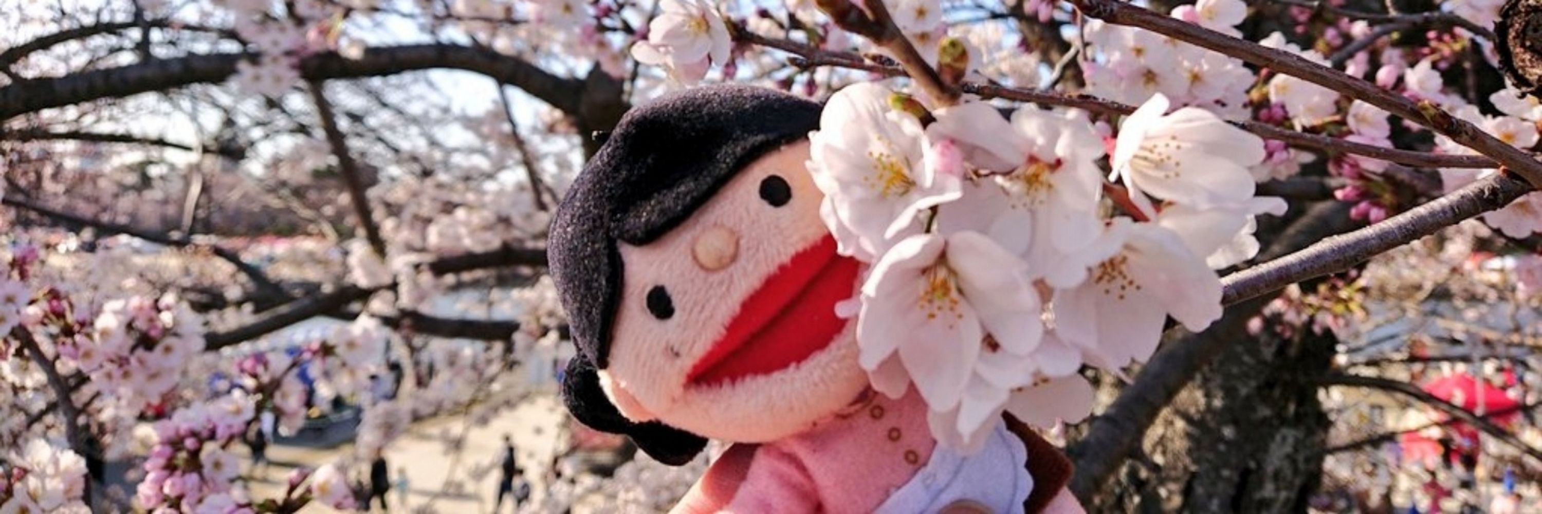 かちゃぴ