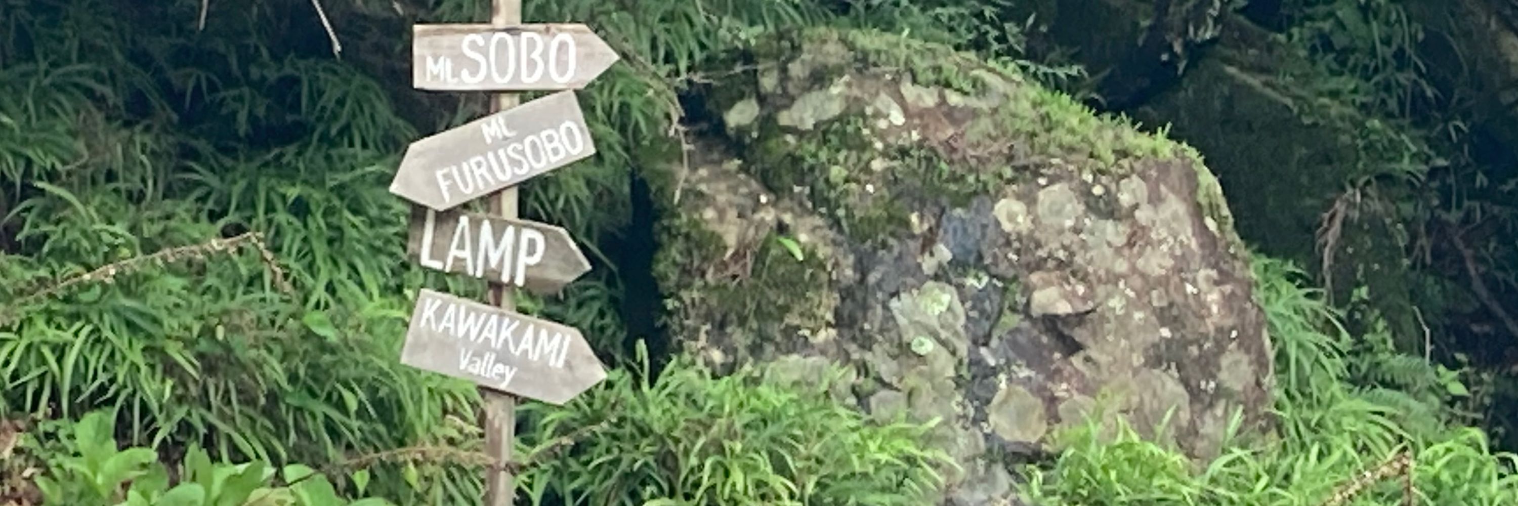 kido_i (きどあい）