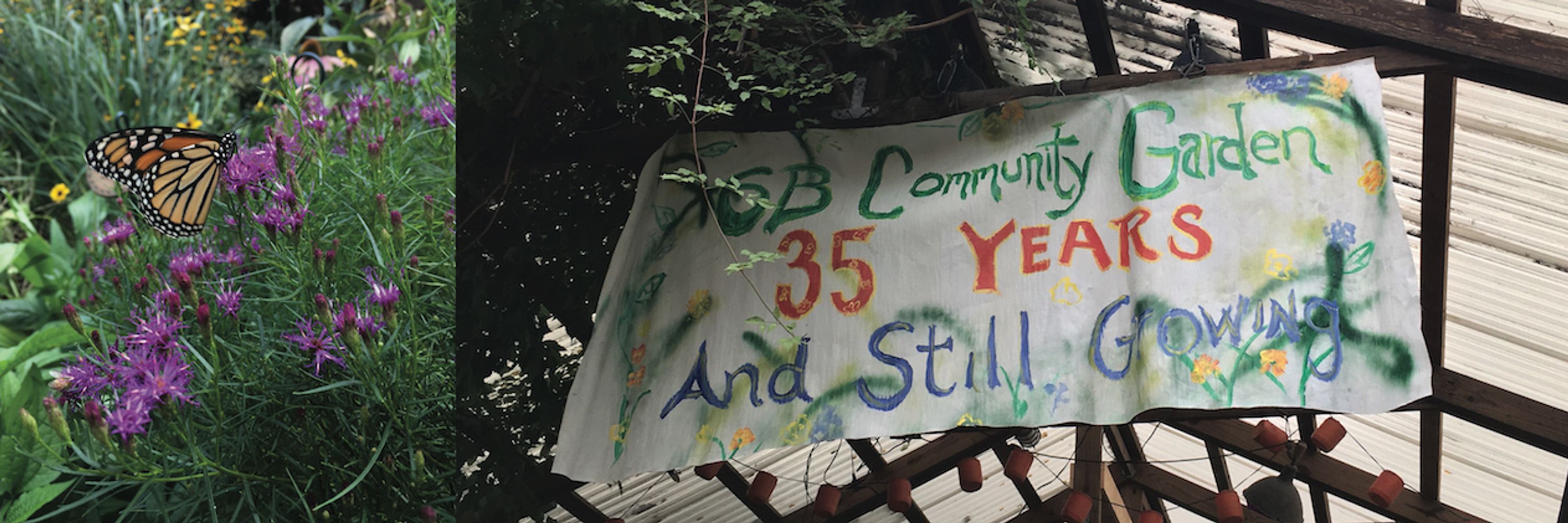6th St & Avenue B Community Garden