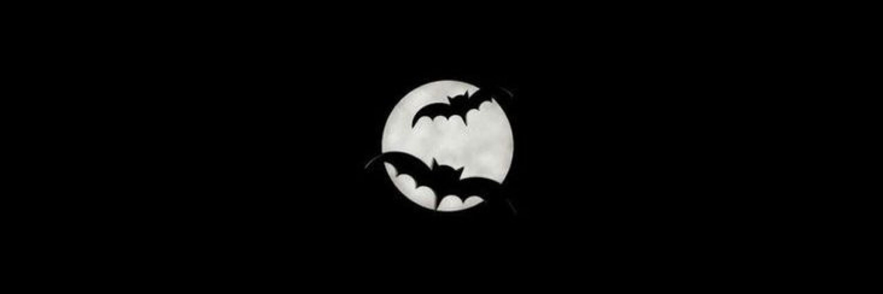 🦇🌙