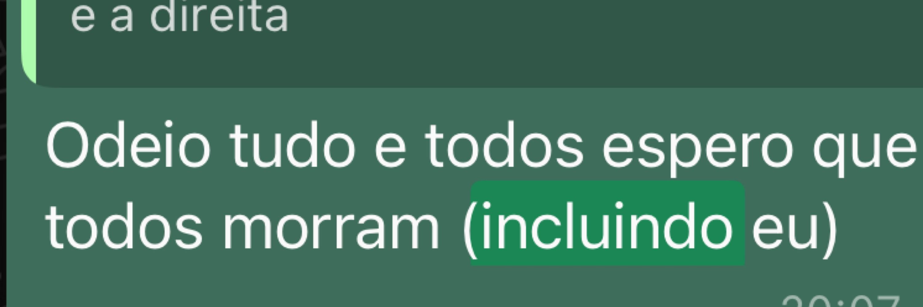 Roleplay furry interativo do lucas berti