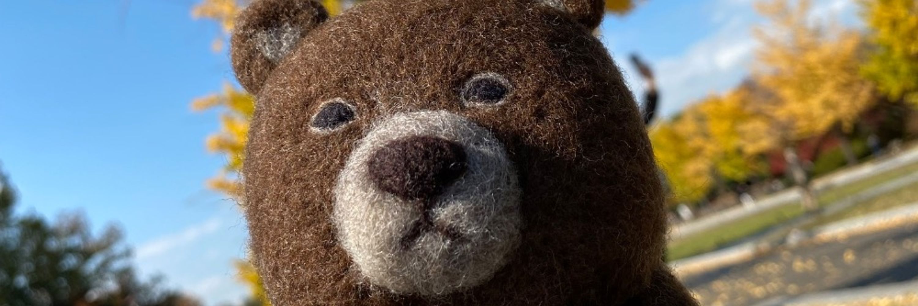 もʕ•ᴥ•ʔえ