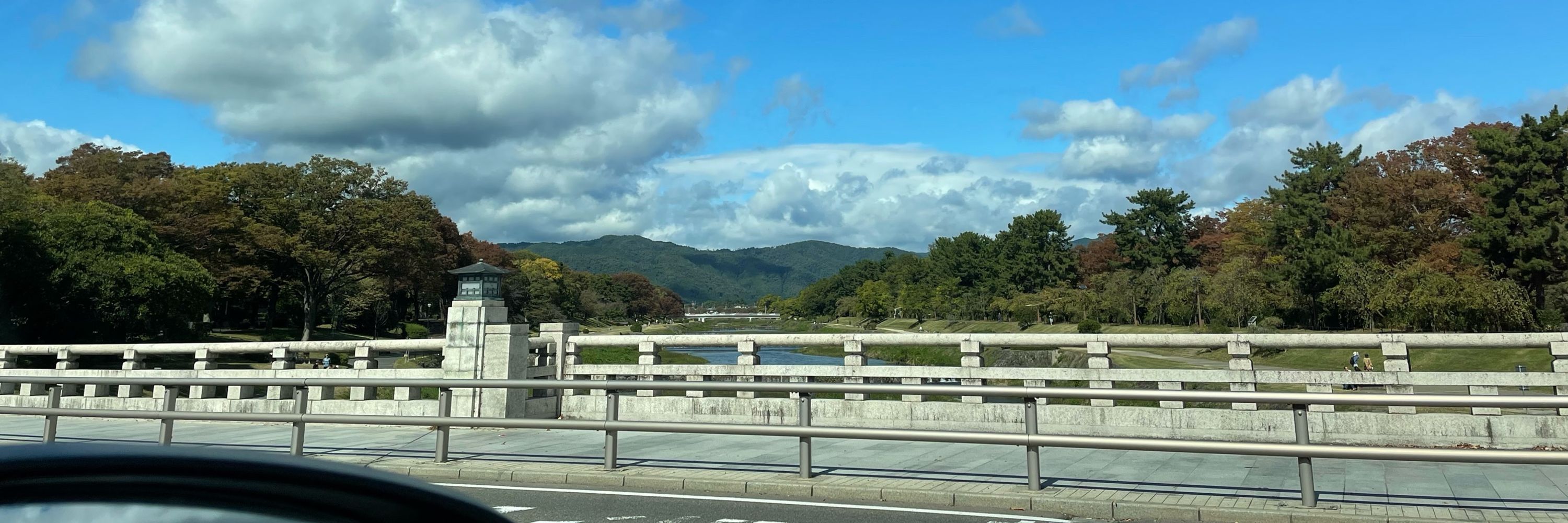 ろたた