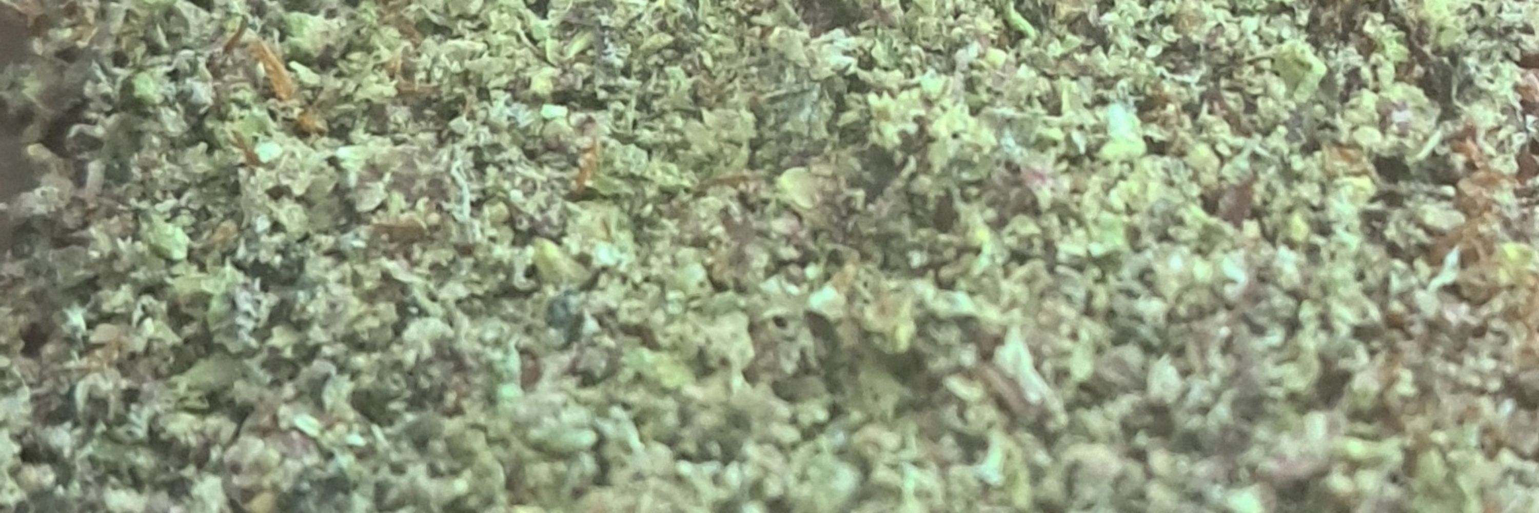 REEFER CLIPPINGS