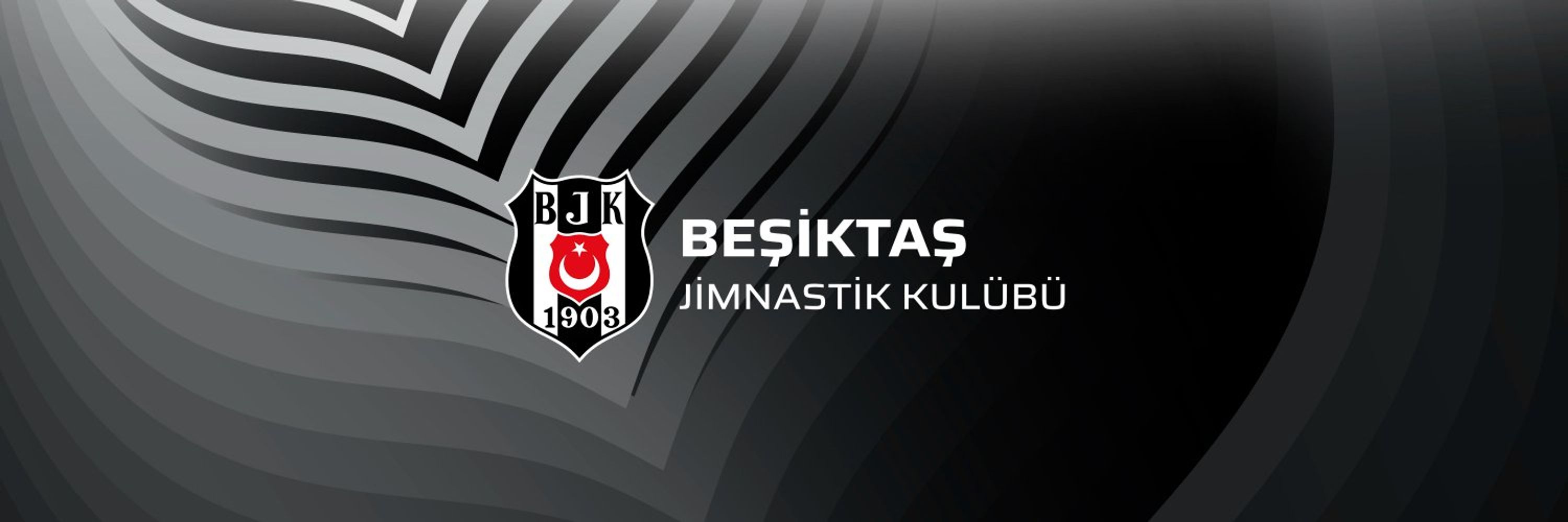 Beşiktaş JK