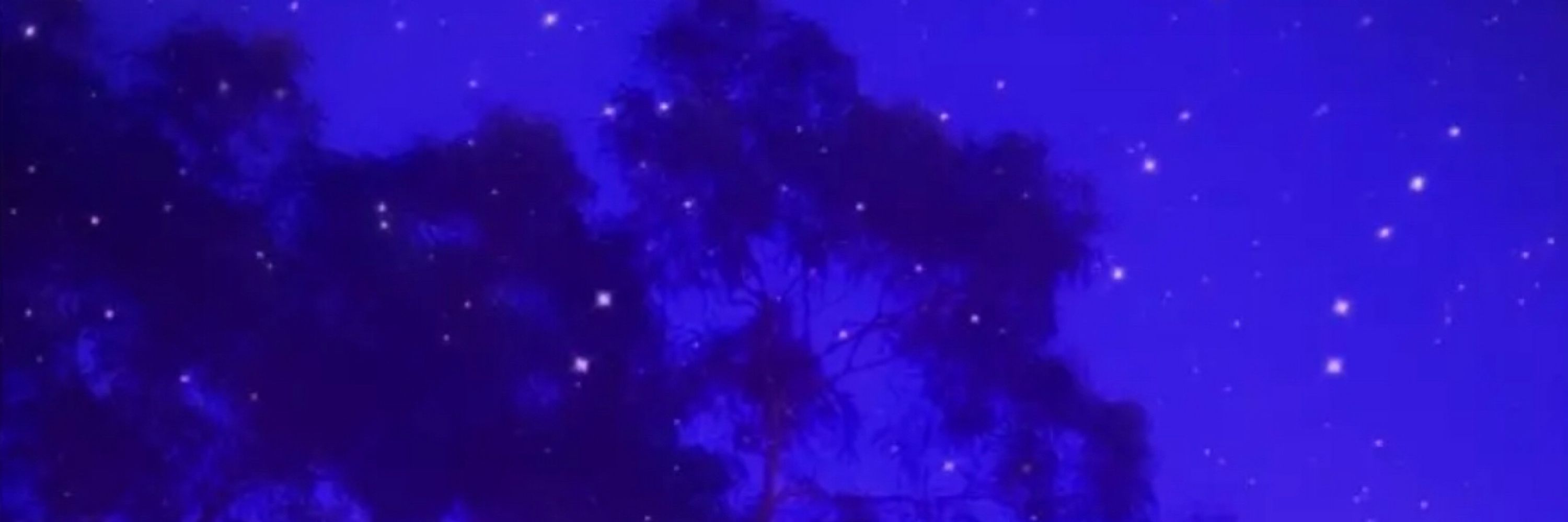 indigo/luno/rui ✩☾