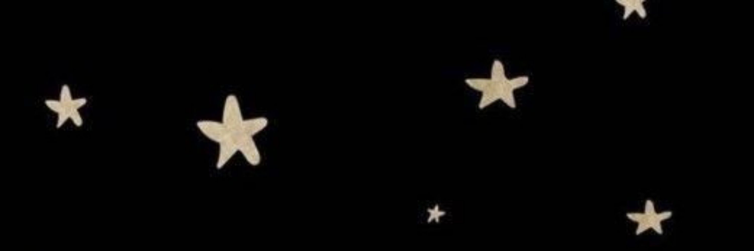 Larisolkk⭐
