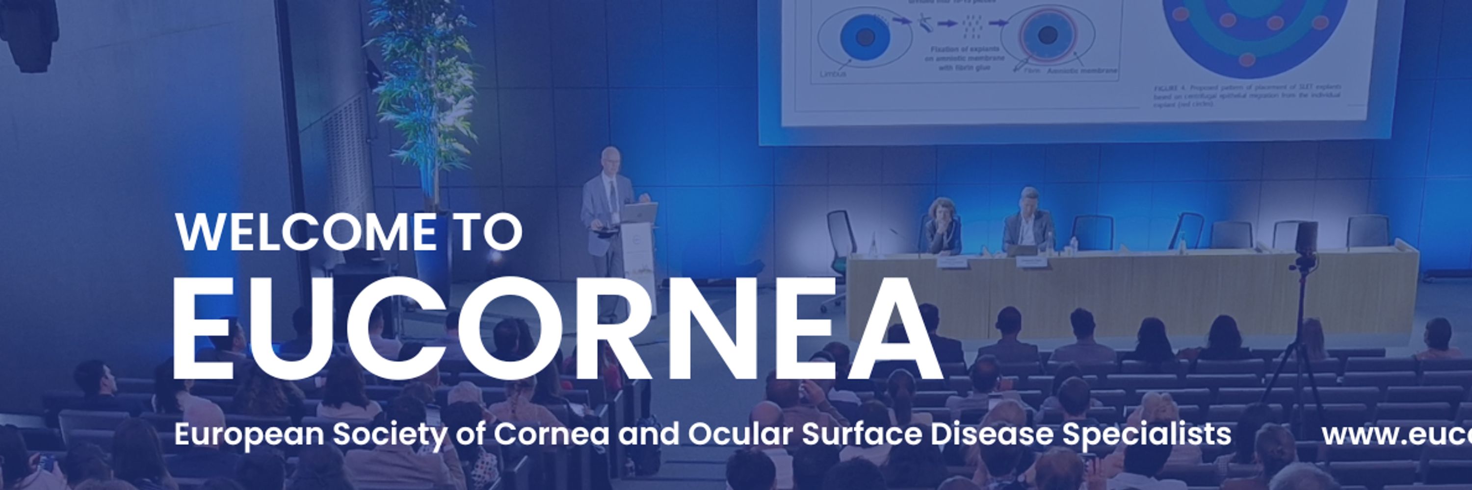 European Society of Cornea and Ocular Surface Disease Specialist