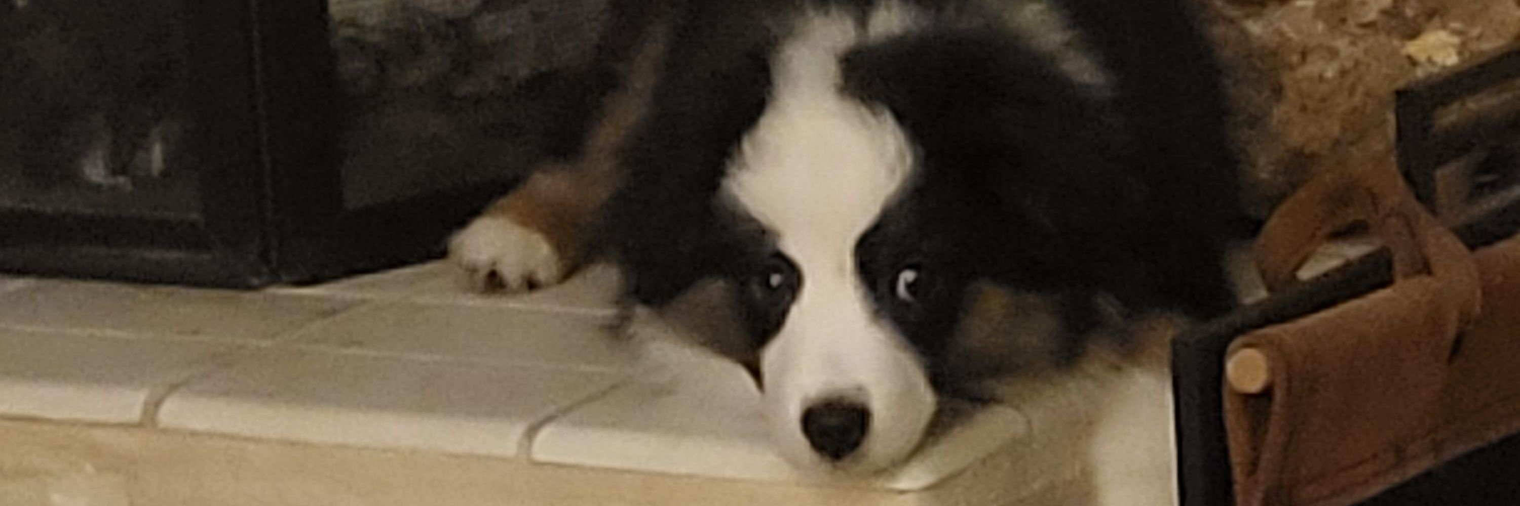 Karla