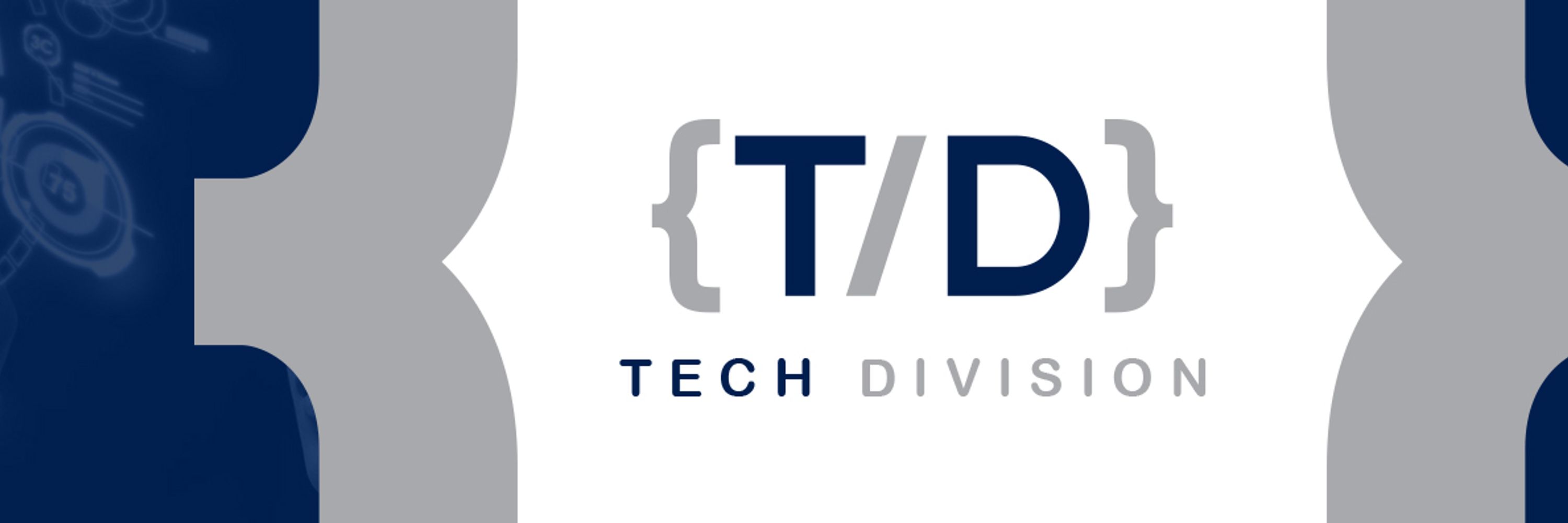 TechDivision