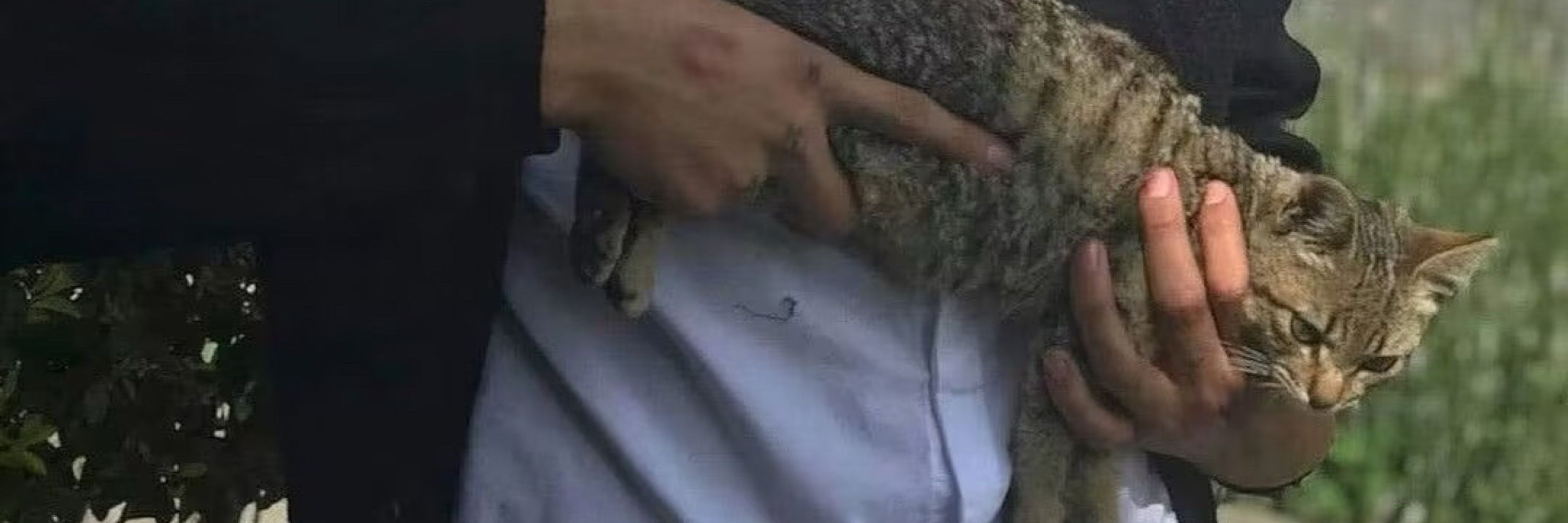 墨水焚烧场