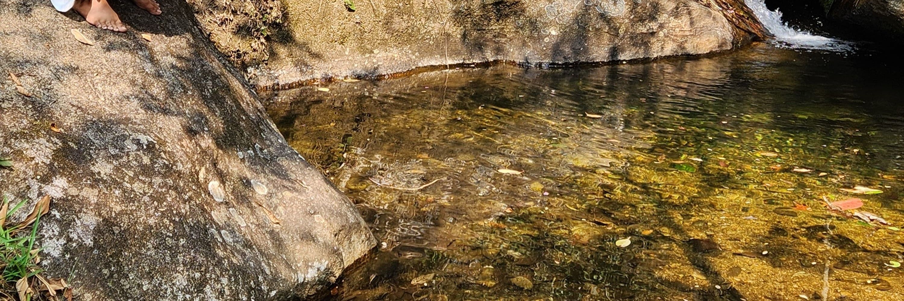 puriahensse 