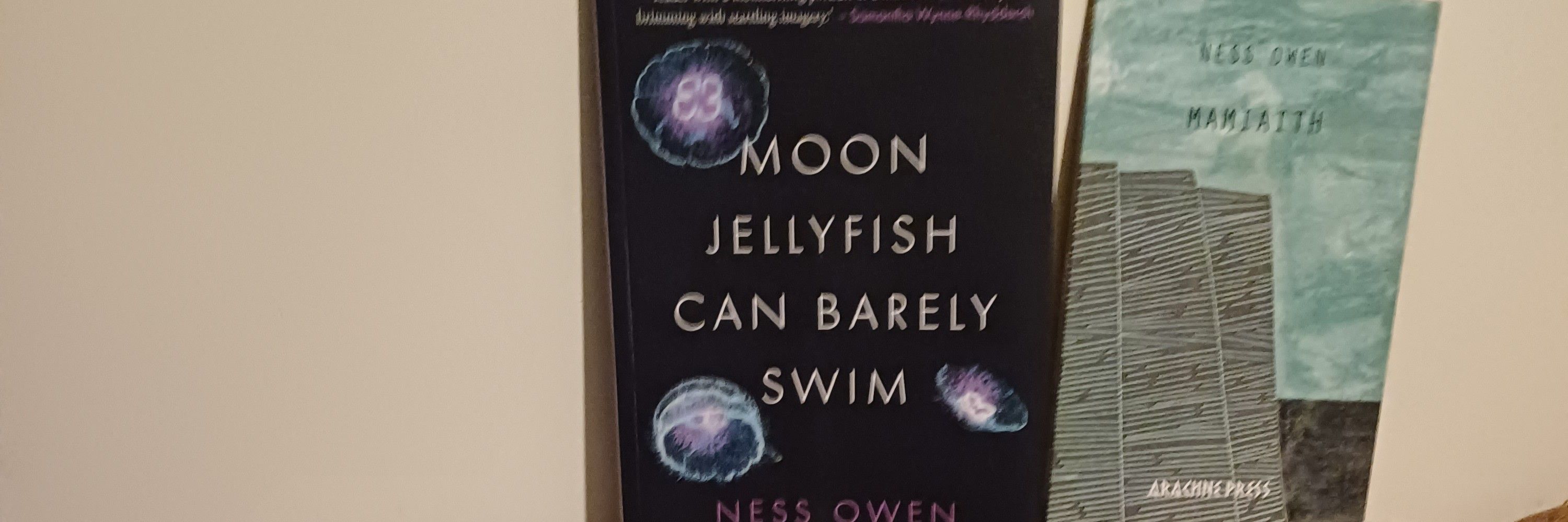 Ness Owen