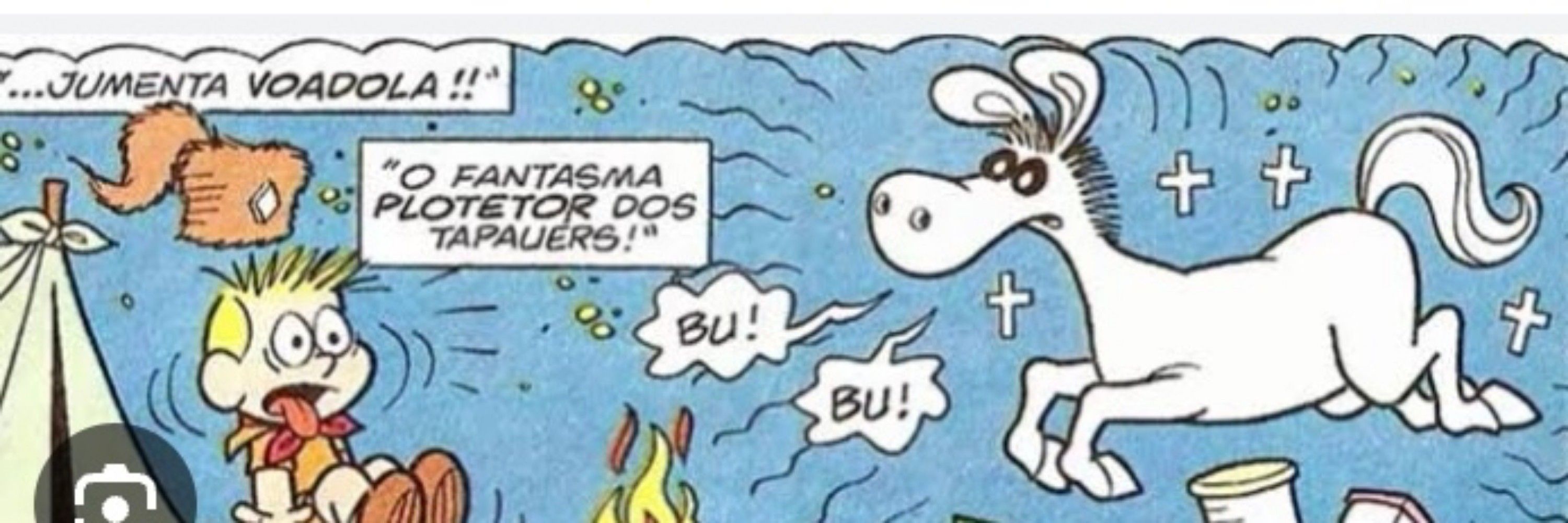 garça namoradeira