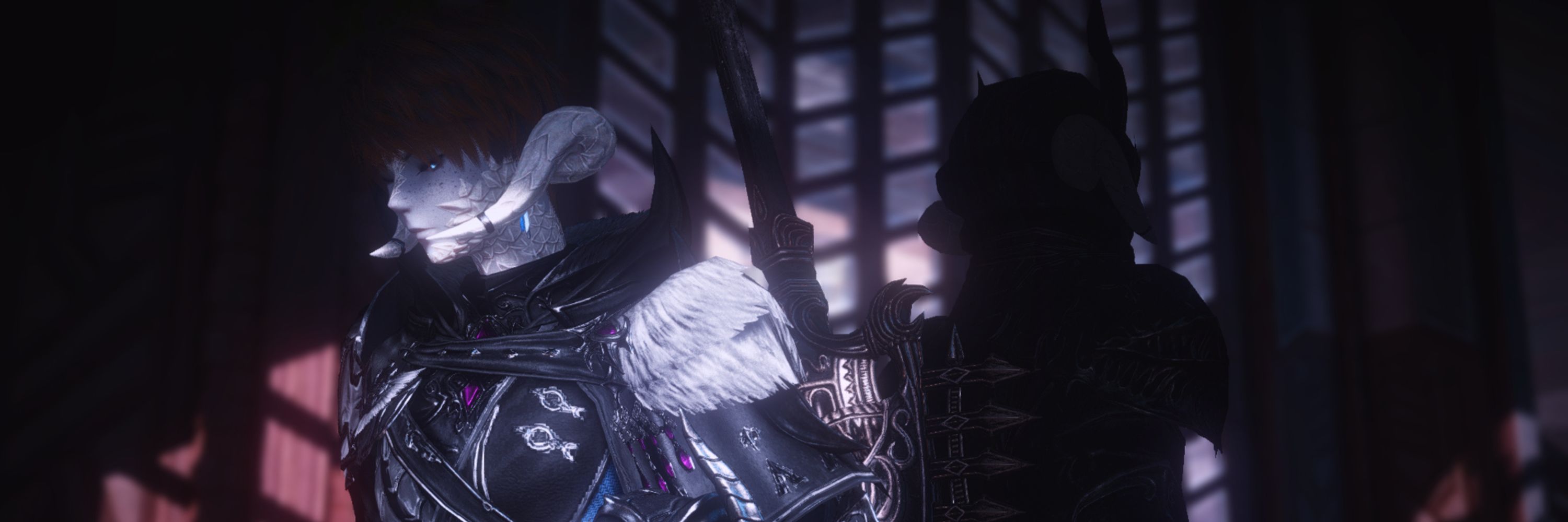 banner