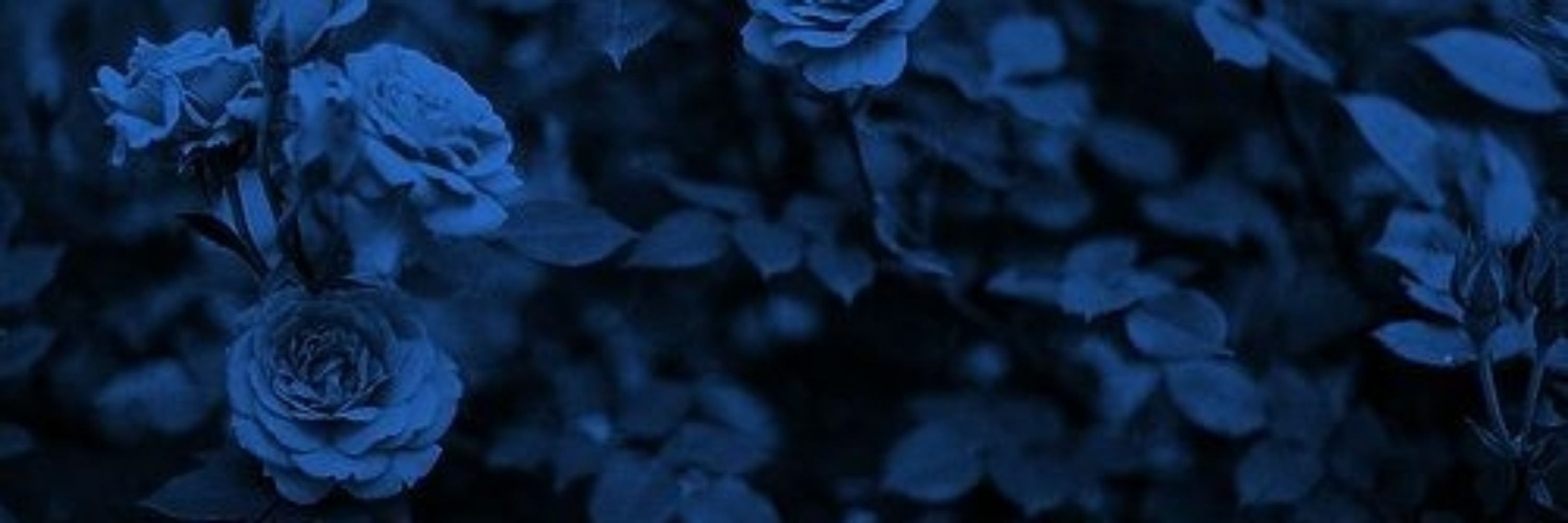 Nay 🌸👁🔷️