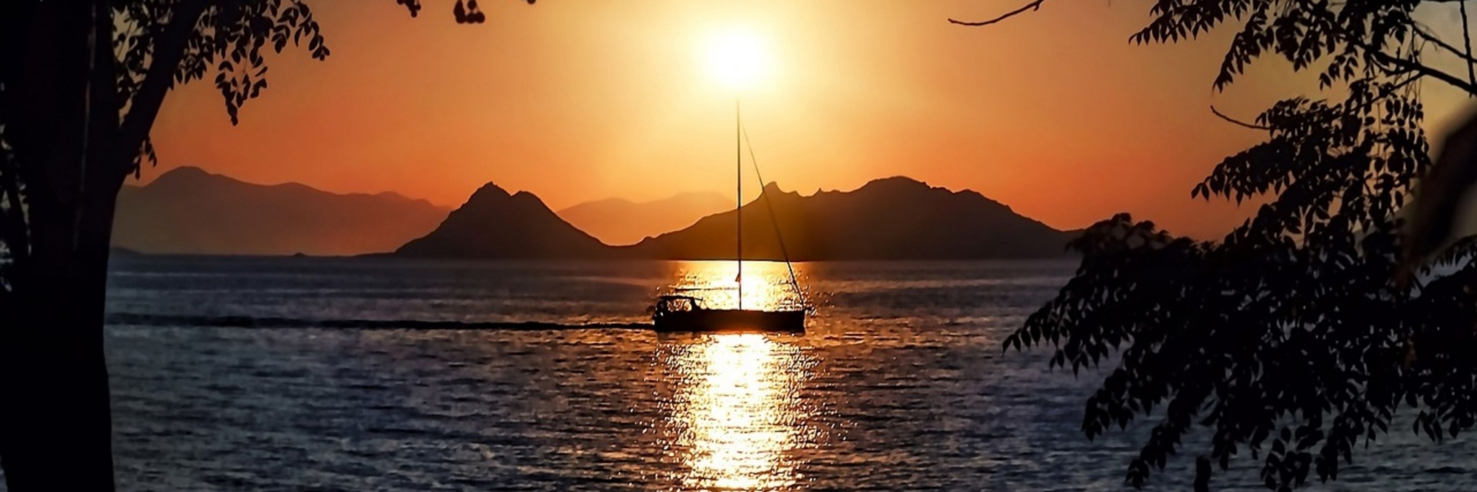 İphigenia