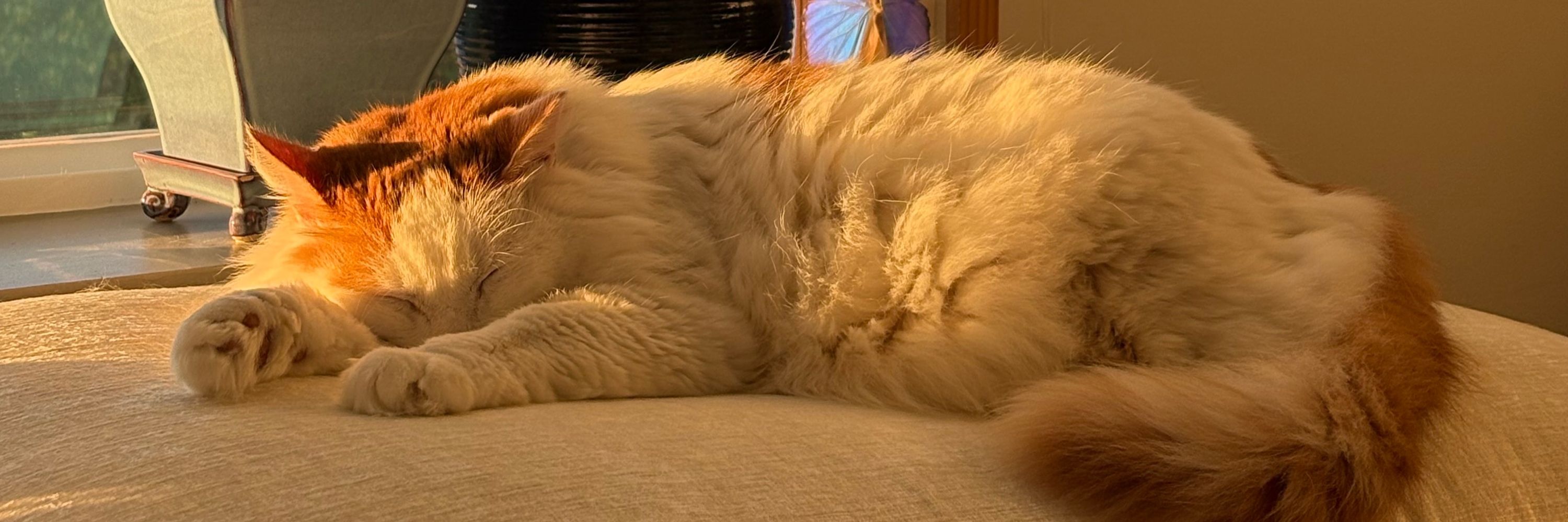 em kat