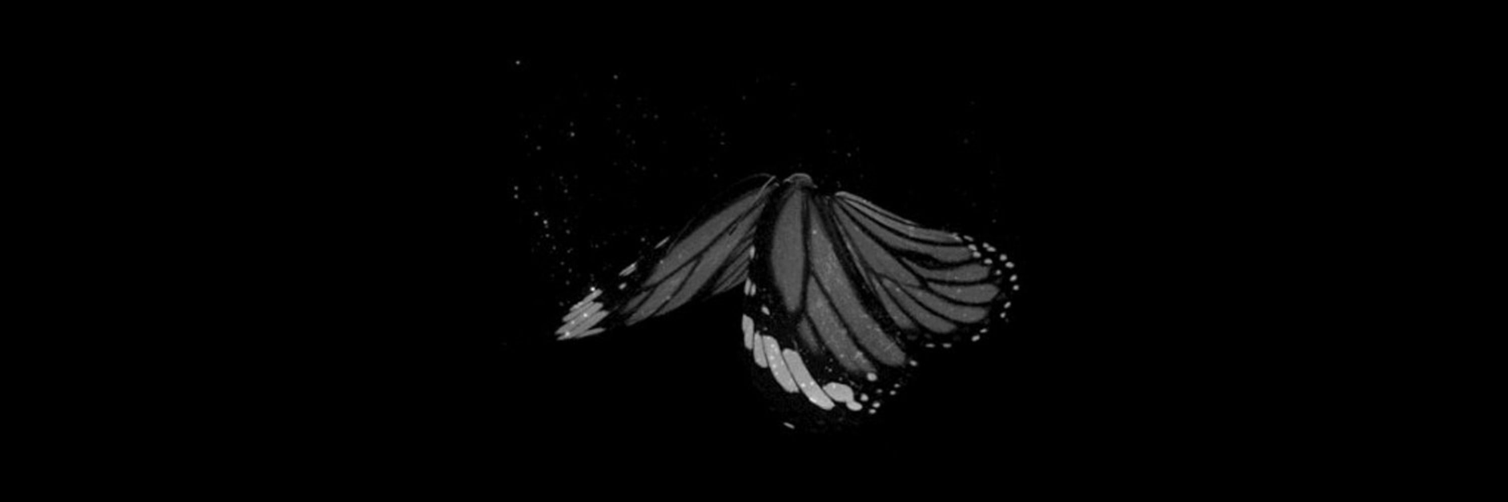Dark