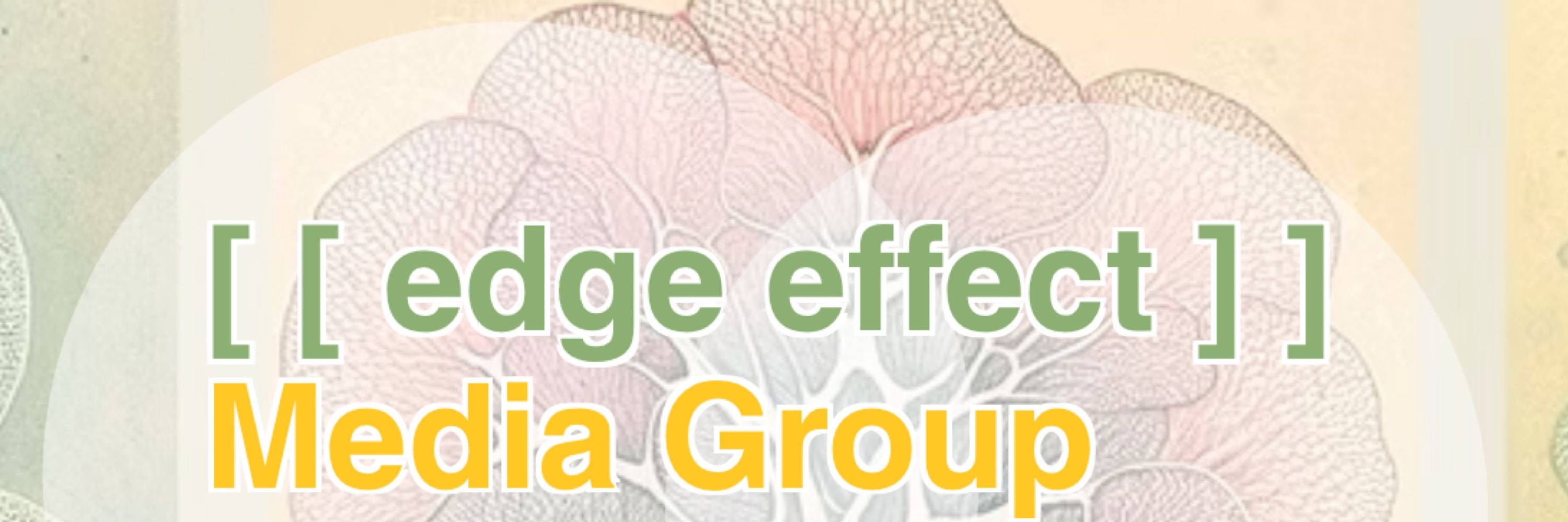 Edge Effect Media Group