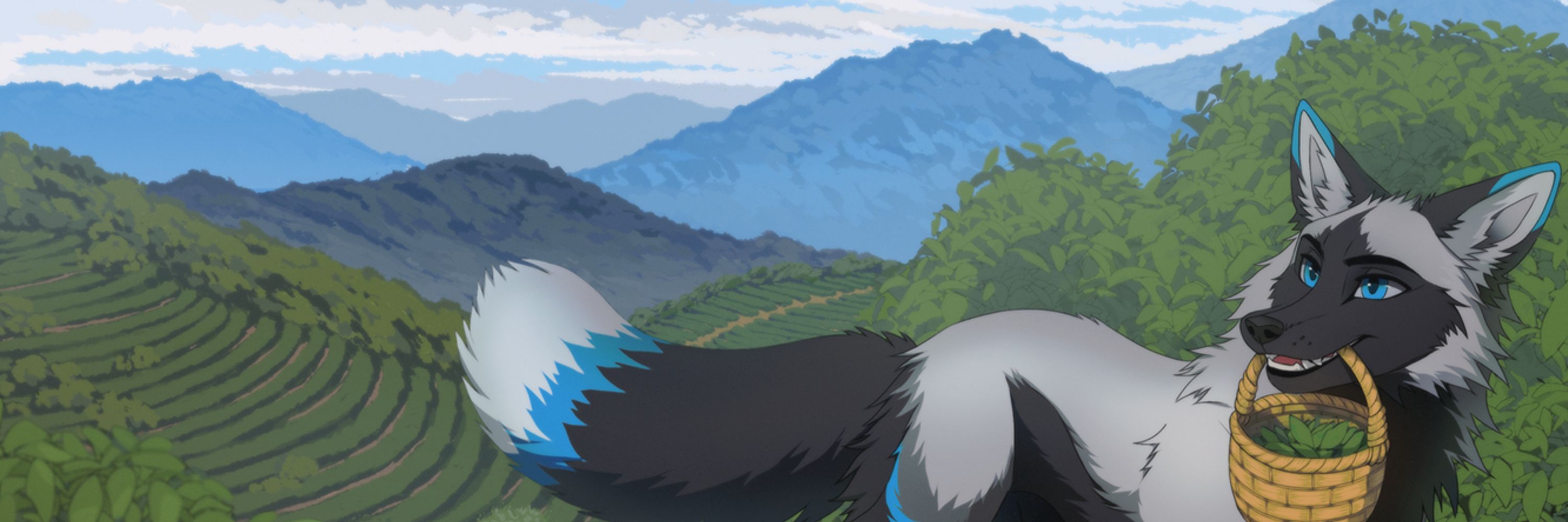 Fox Tea Merchant 狐狸茶商