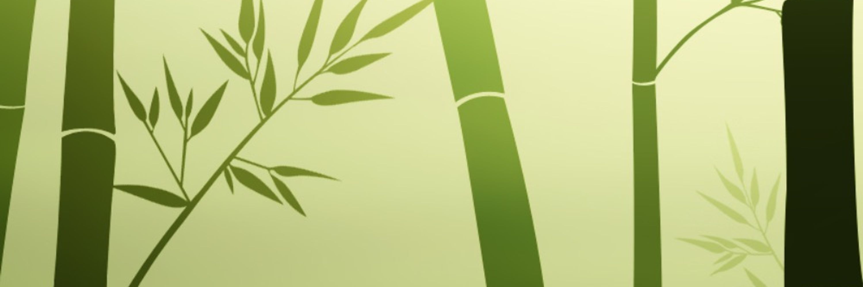 Bamboo Grove