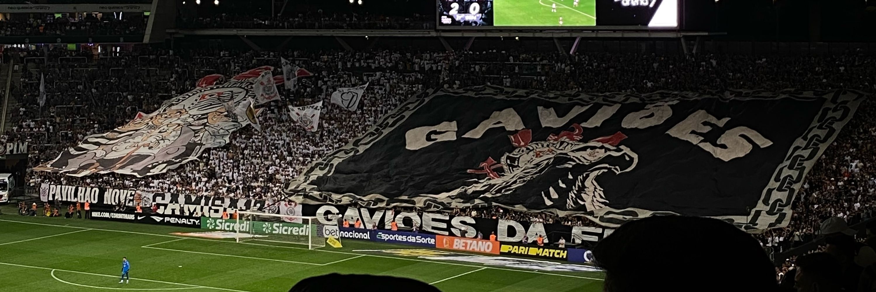 isa 🦅