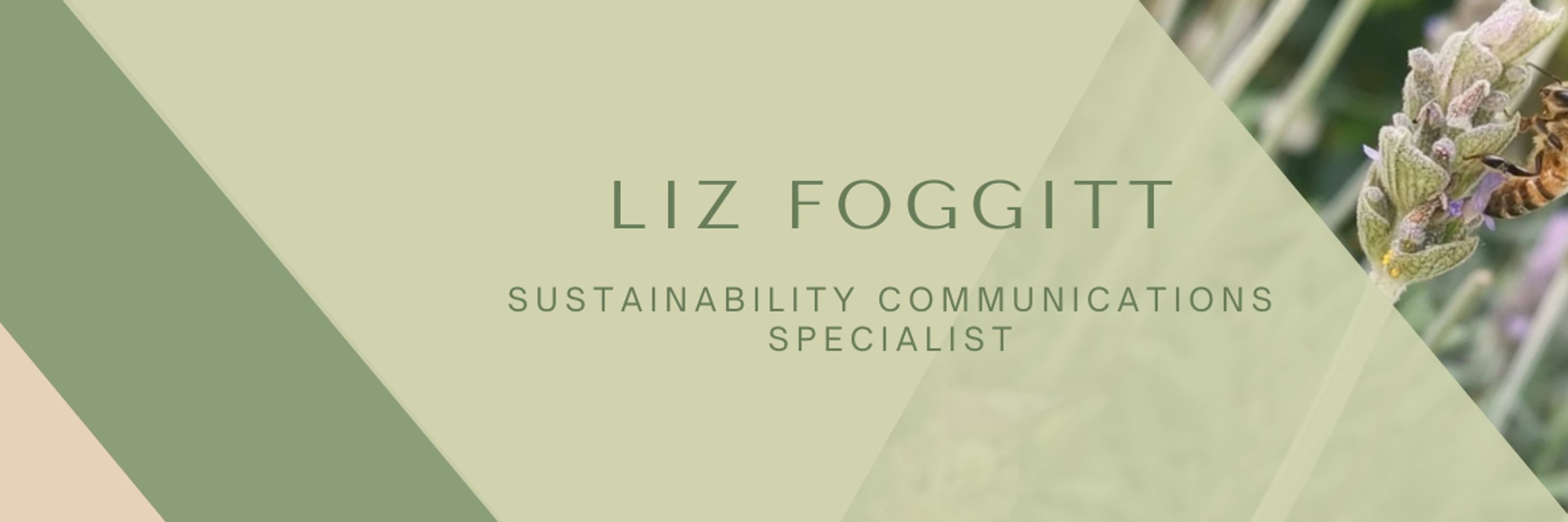 Liz Foggitt