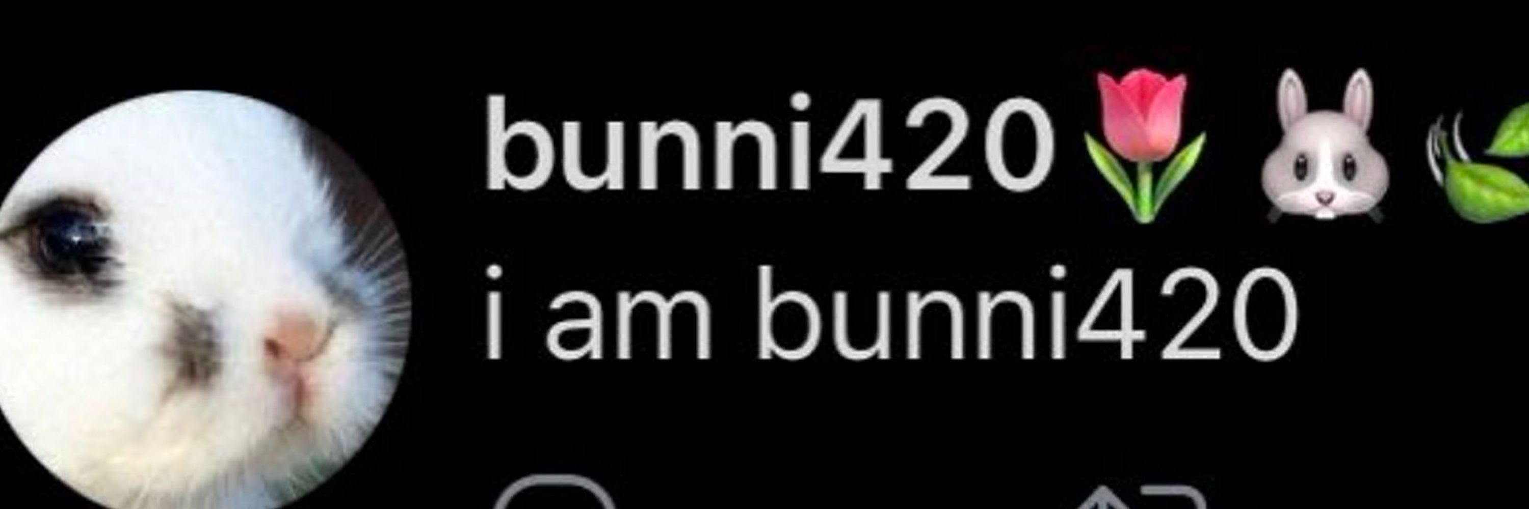 bunni420🌷