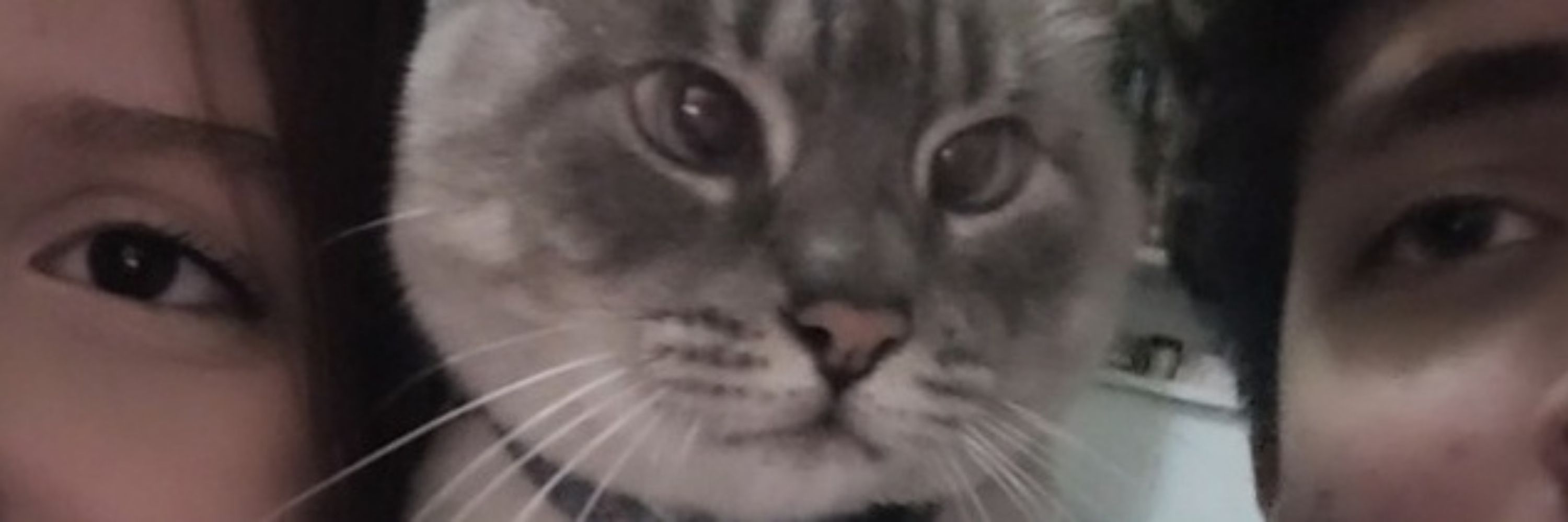 𝑛𝑎𝑚𝑜𝑟𝑎𝑑𝑎 𝑑𝑜 𝑔𝑢𝑠𝑡𝑎𝑣𝑜